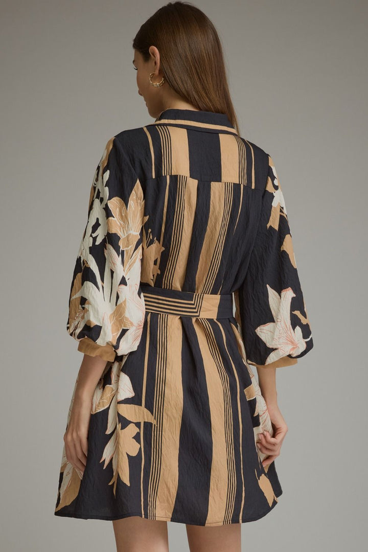 EntroCelia Dress - The Lady Ship Boutique